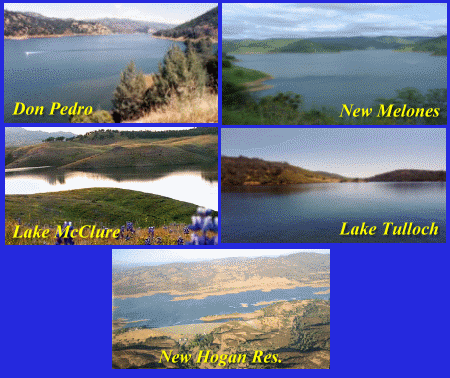 Gold Country Fishing Sports favorite fishing lakes; Melones, Don Pedro, New Hogan, McClure, Tulloch
